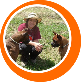 guardería canina bracos
