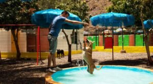 residencia canina maspalomas