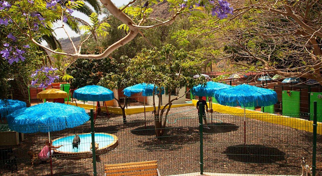 residencia canina maspalomas