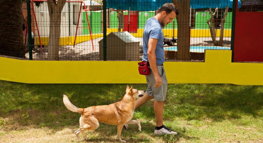 residencia canina maspalomas