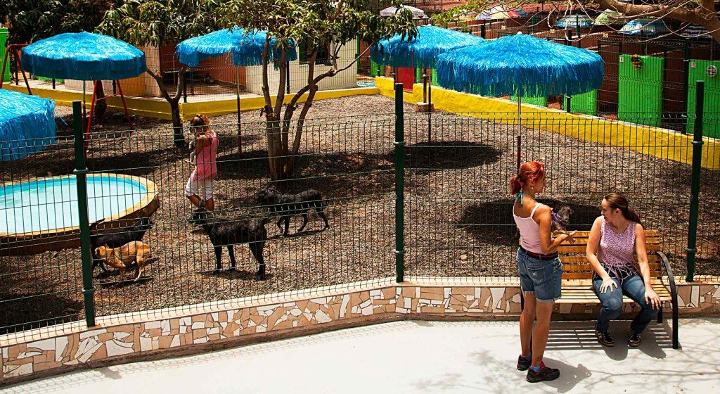 residencia canina maspalomas
