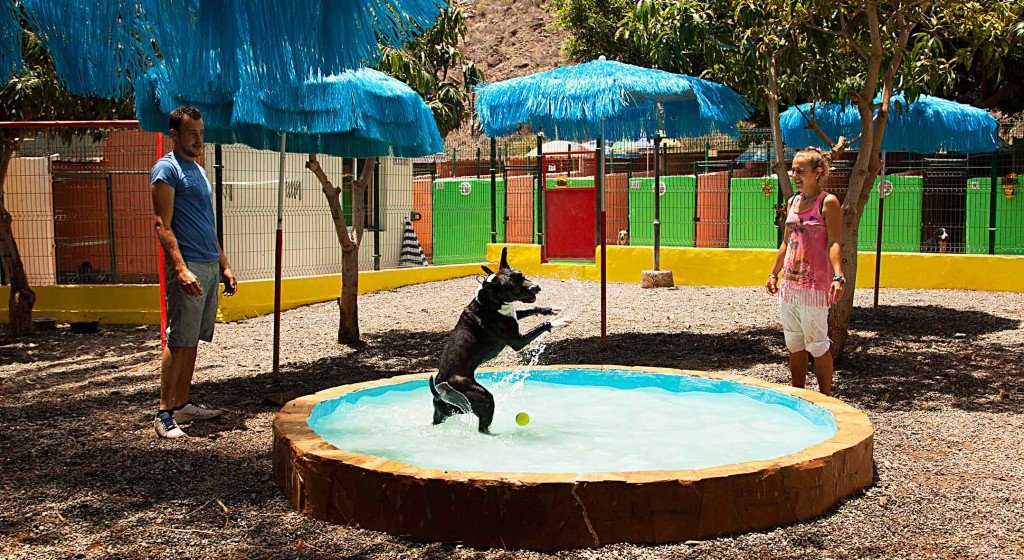 residencia canina maspalomas