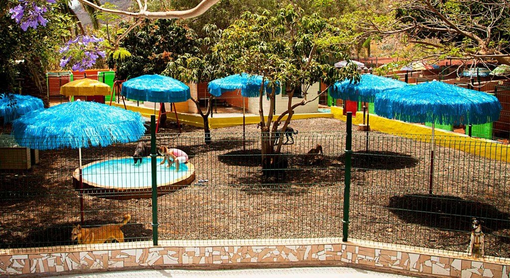 residencia canina maspalomas