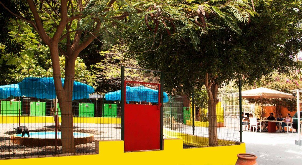 residencia canina maspalomas