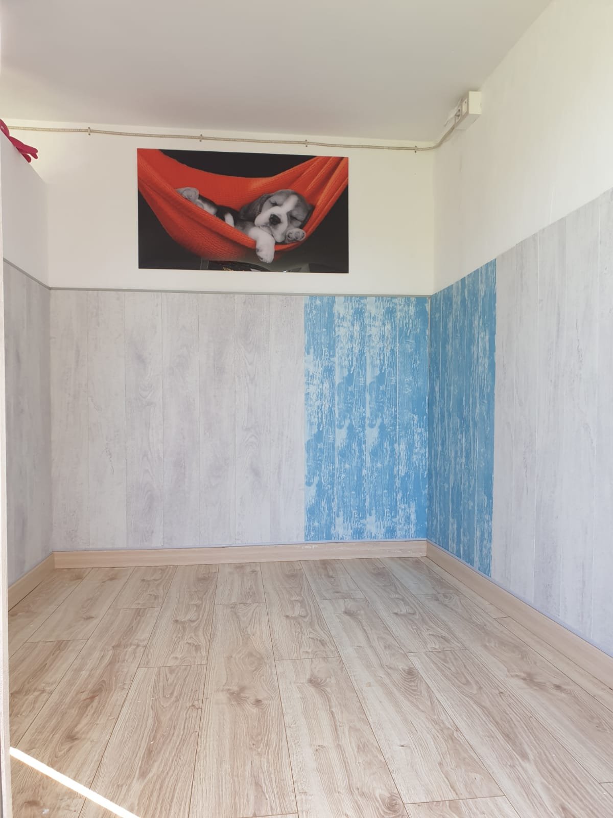 residencia canina abora