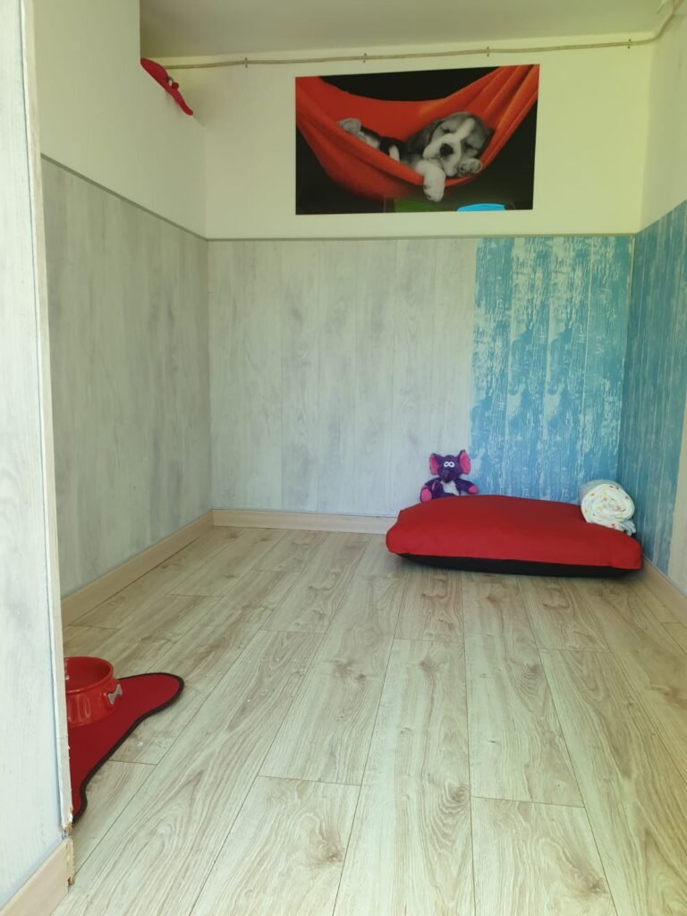 hotel canino ábora