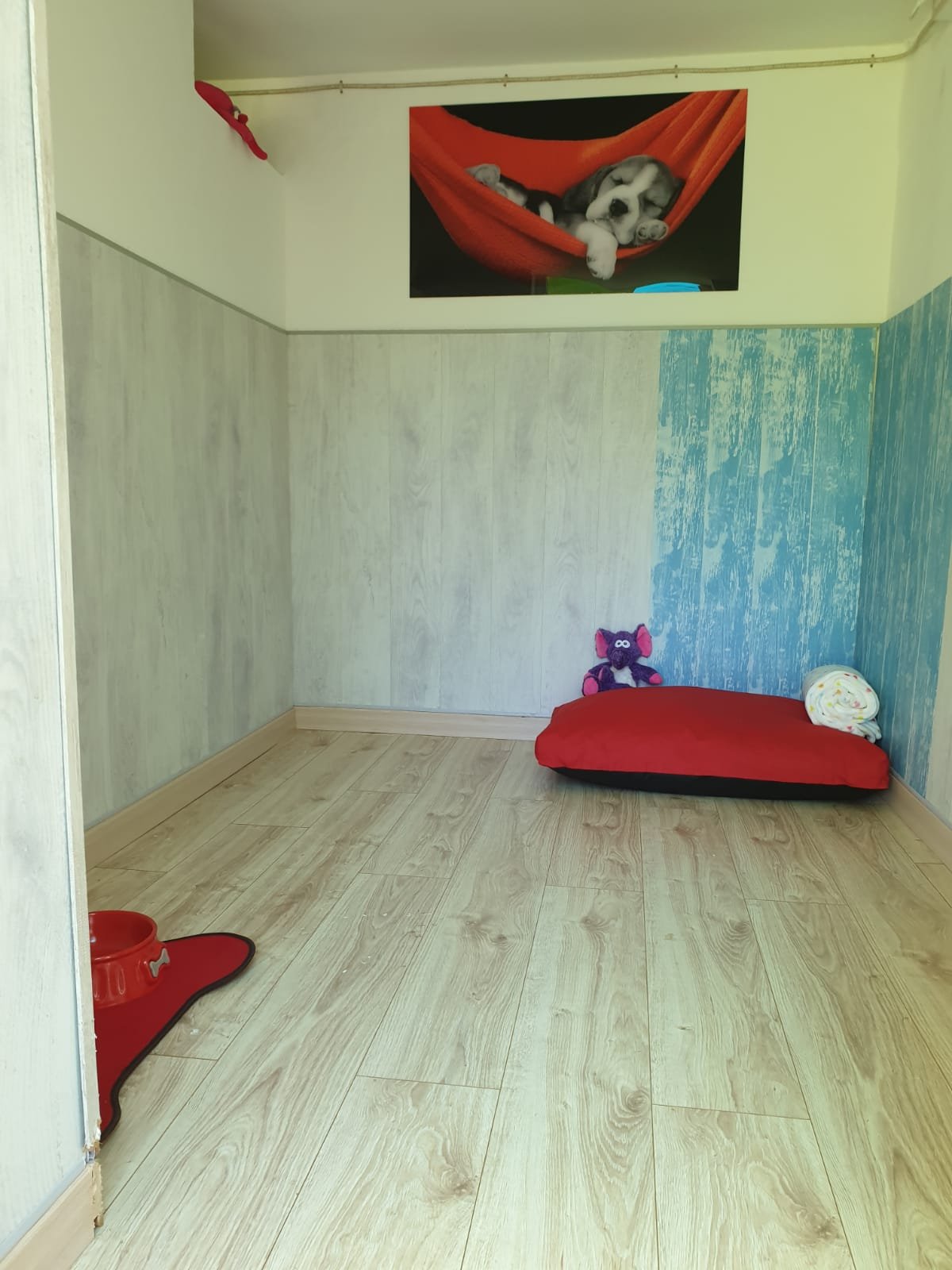 residencia canina abora