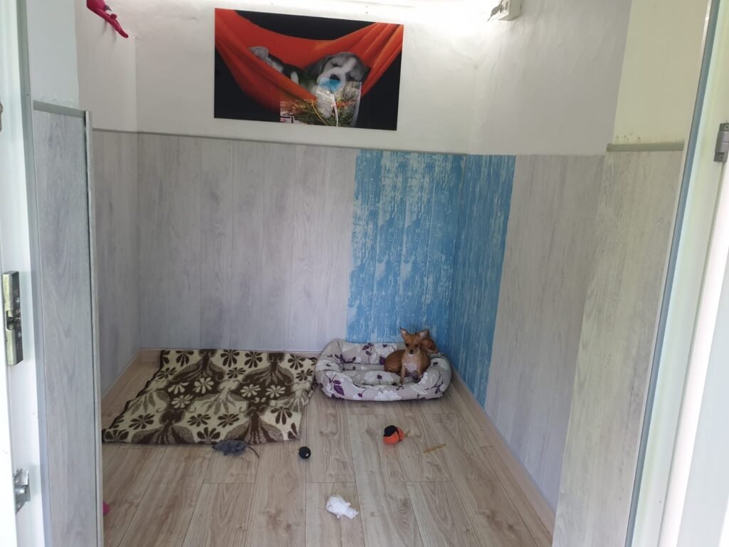 hotel canino ábora
