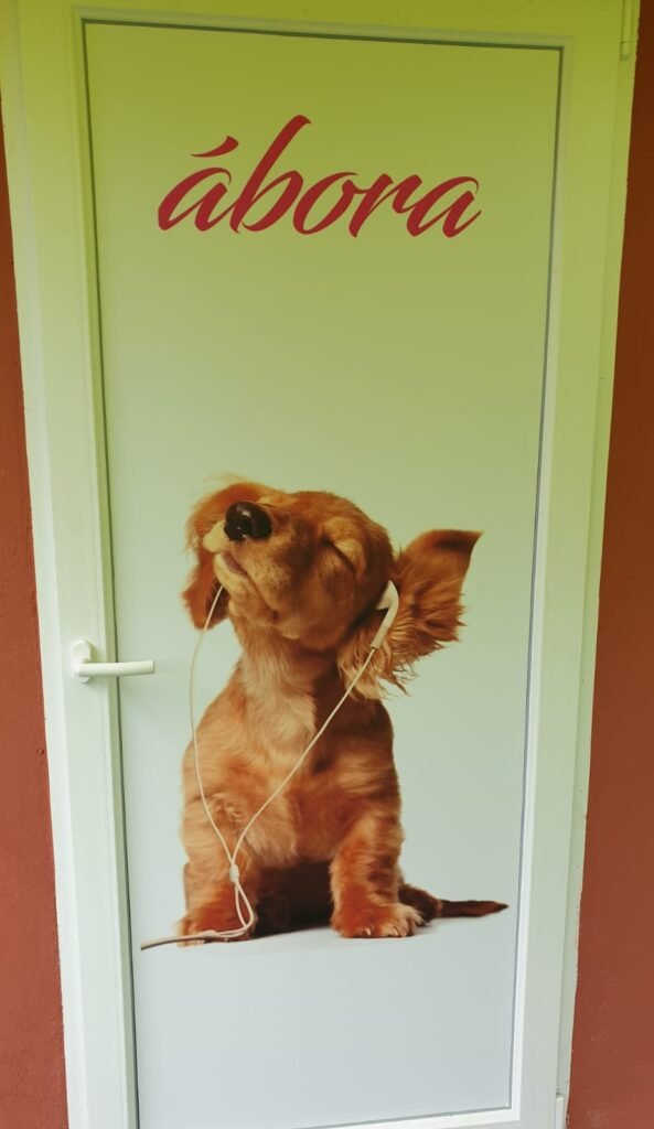 hotel canino ábora