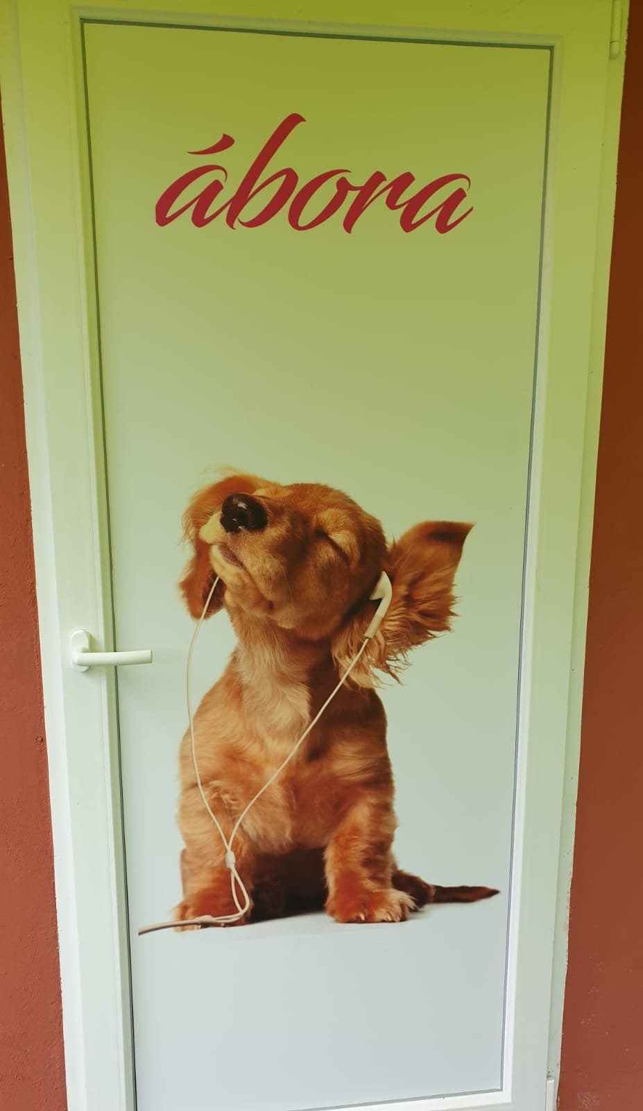 residencia canina abora
