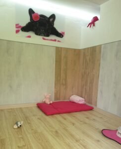 residencia canina abora