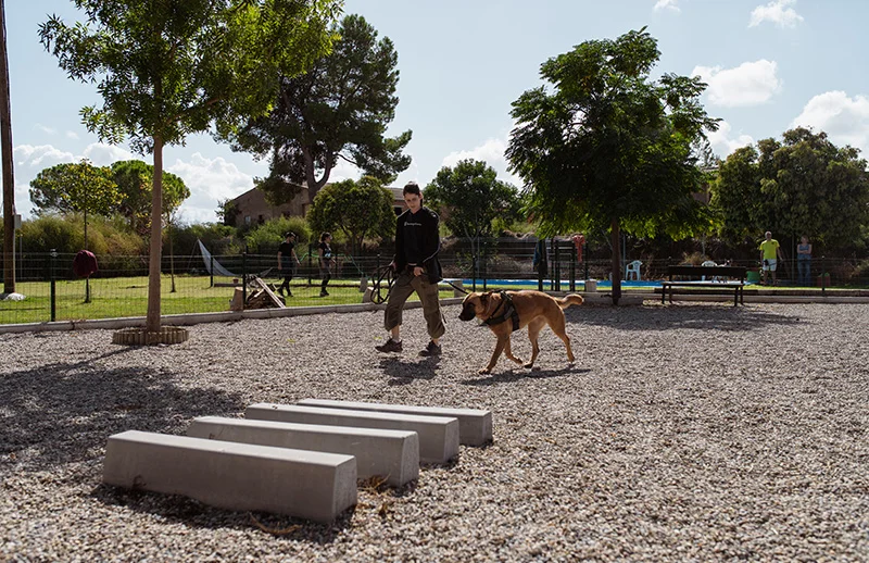 residencia canina wau