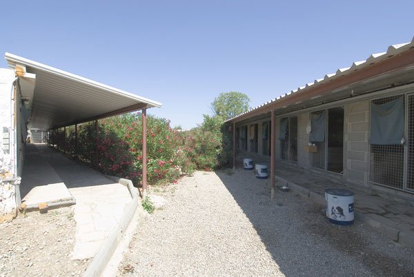 residencia canina green house