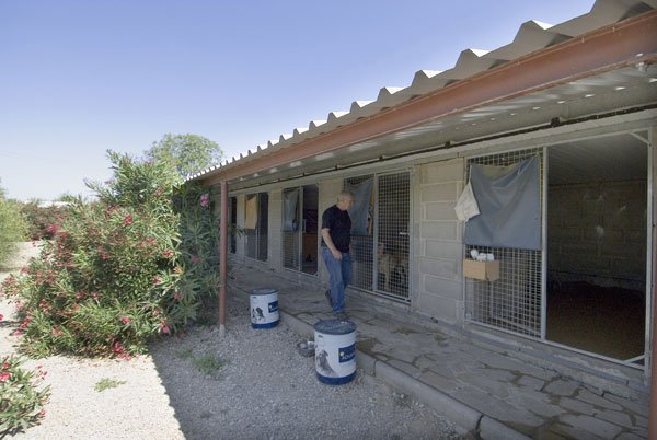 residencia canina green house