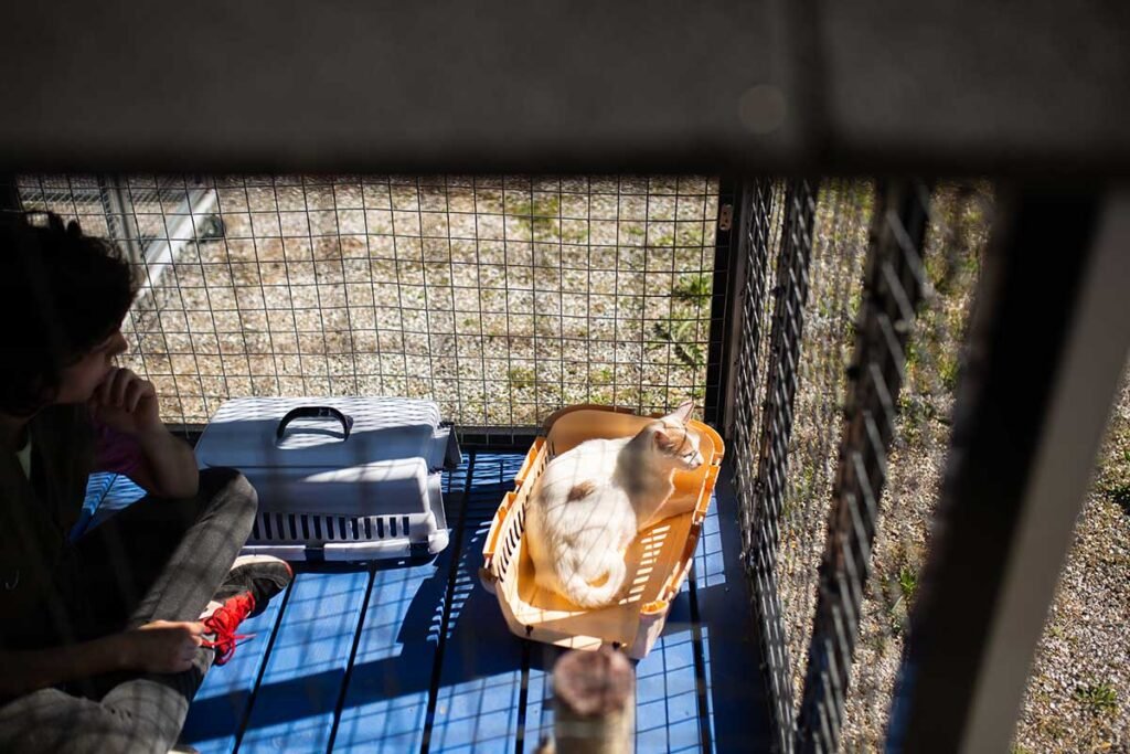 guardería canina riberbox