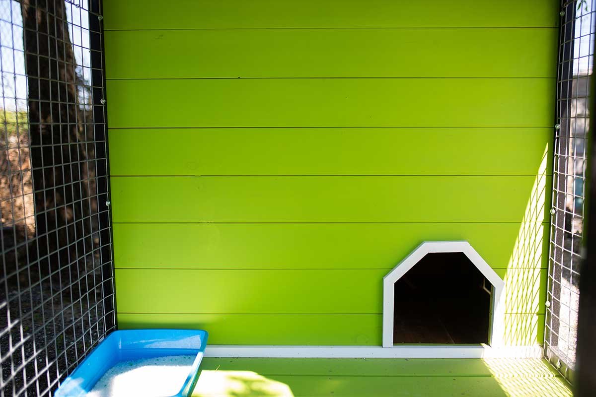residencia canina riberbox