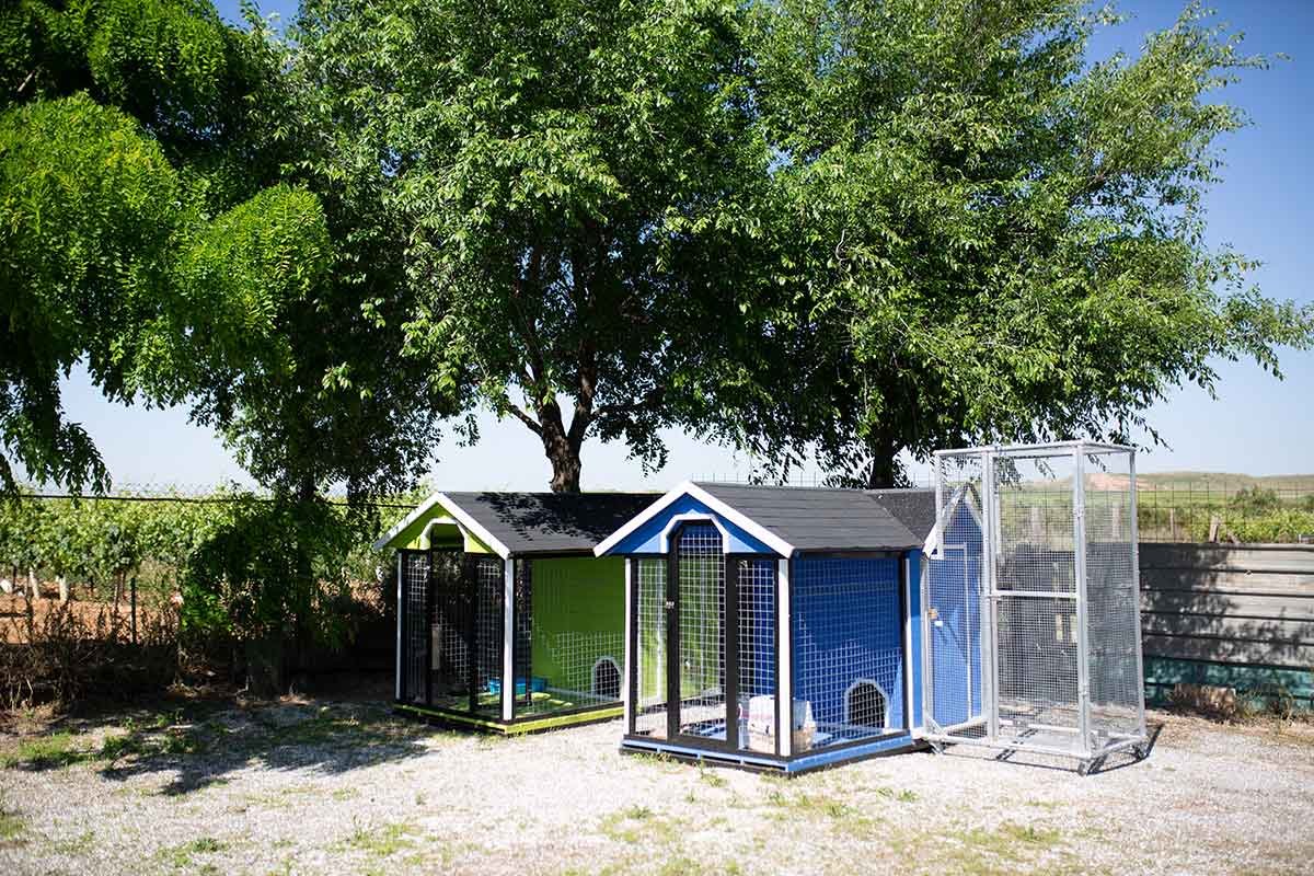 residencia canina riberbox