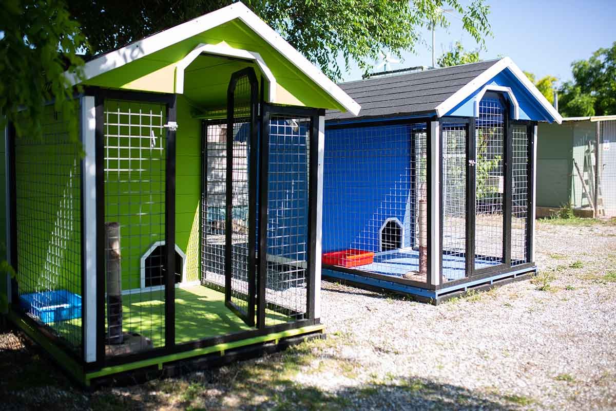 residencia canina riberbox