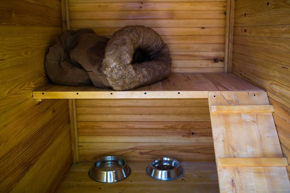 residencia canina riberbox
