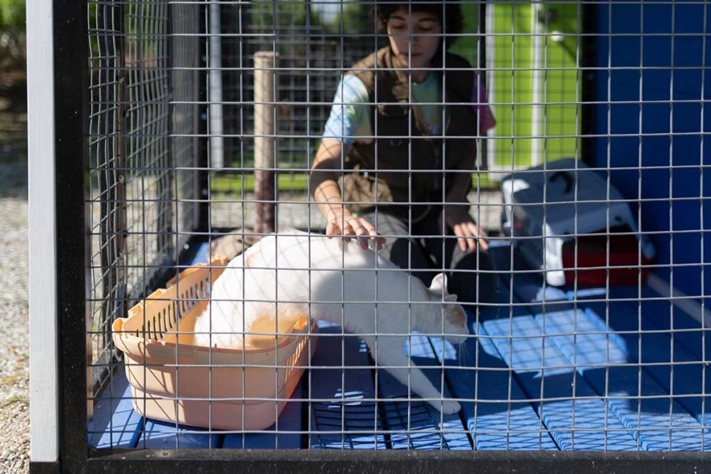 guardería canina riberbox