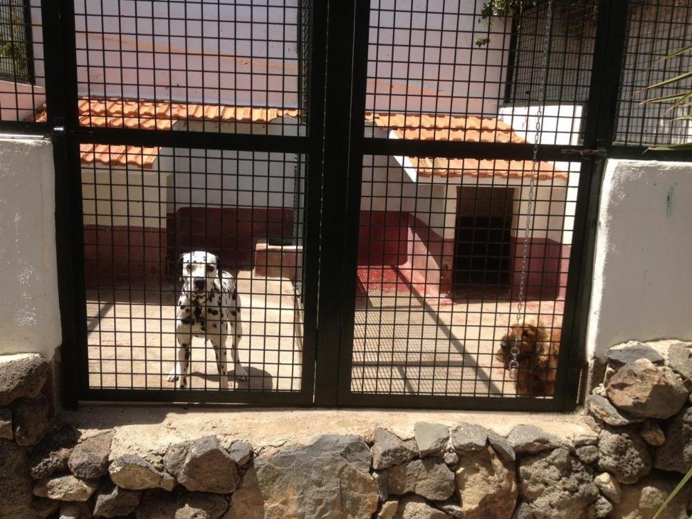residencia canina canarycan