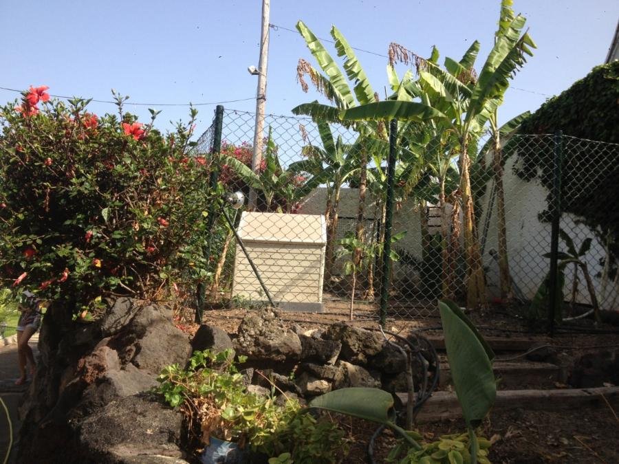 residencia canina canarycan