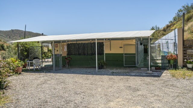residencia canina mi casa