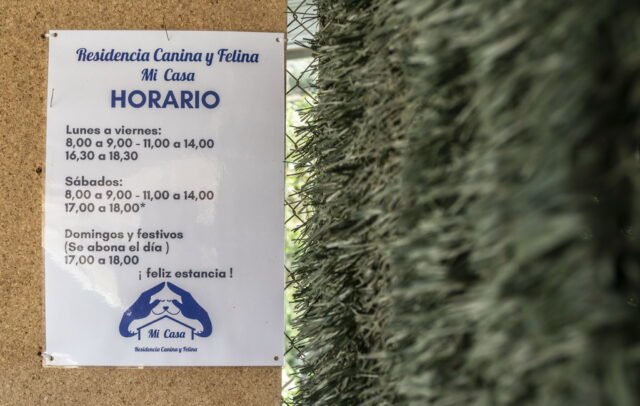 residencia canina mi casa