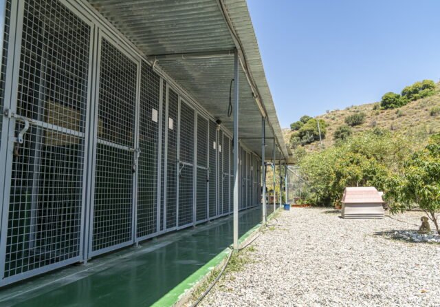 residencia canina mi casa