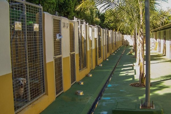 residencia canina paraiso malaga