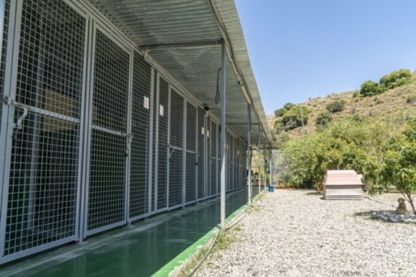 residencia canina mi casa