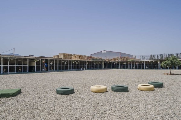 Guardería Canina Unican Málaga