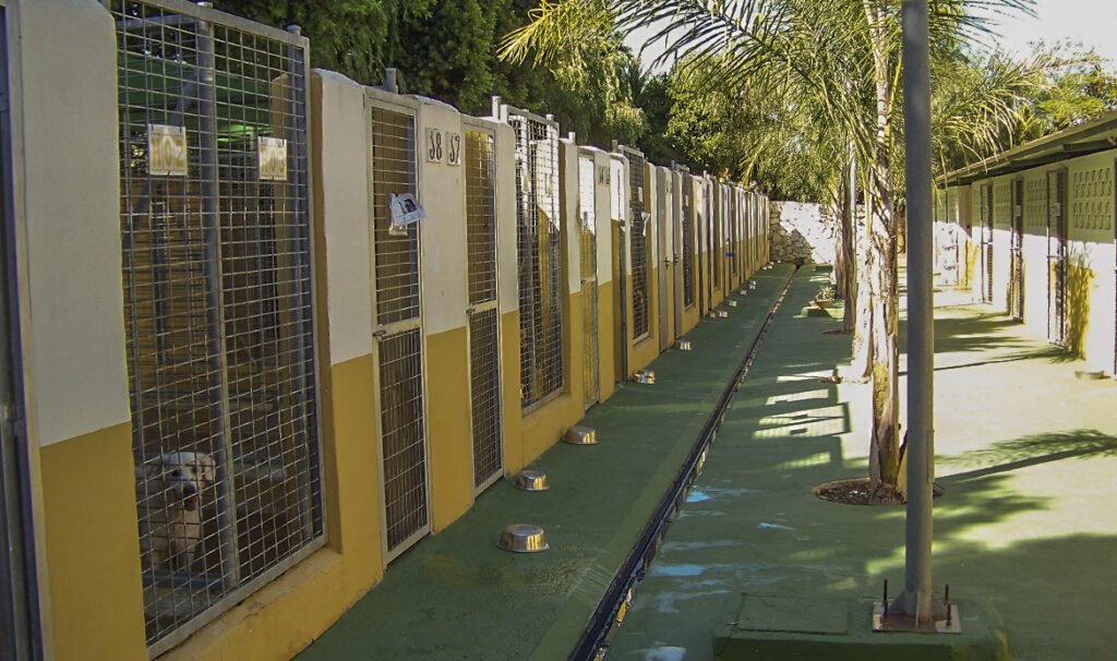 residencia canina paraíso