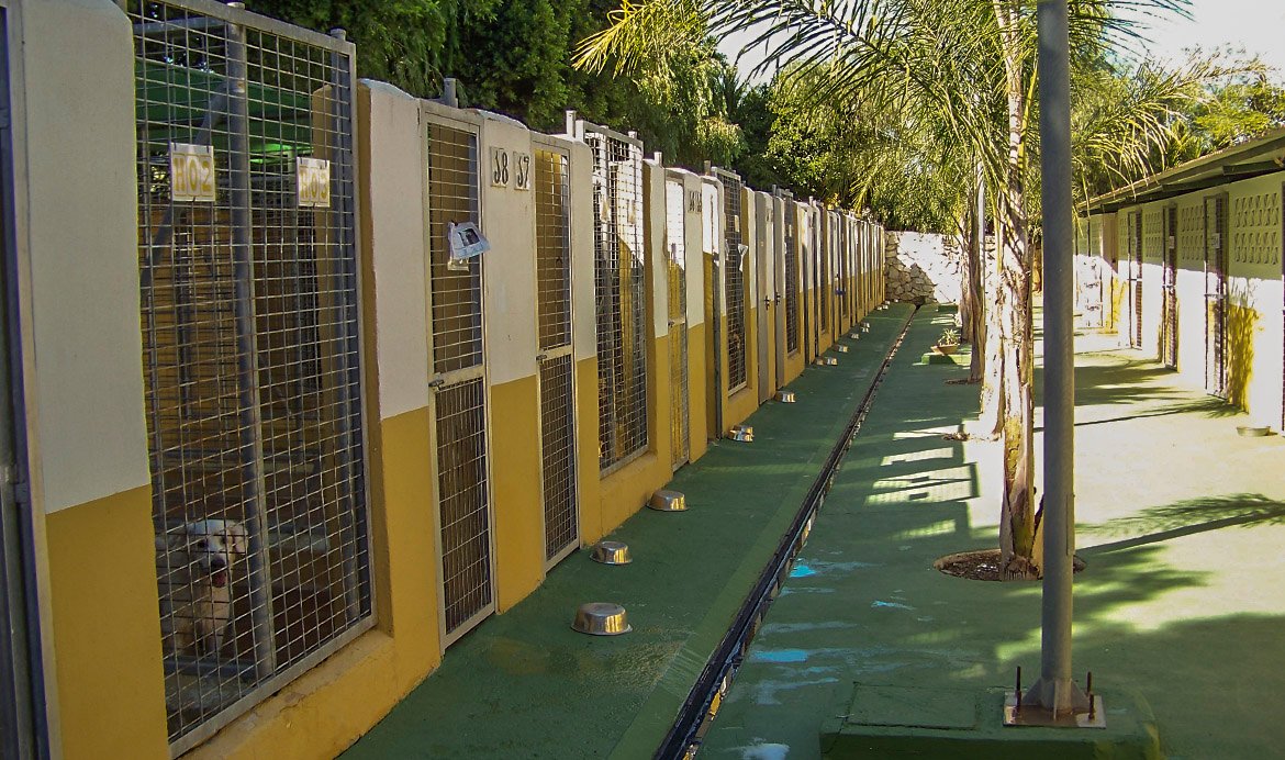 residencia canina paraiso malaga