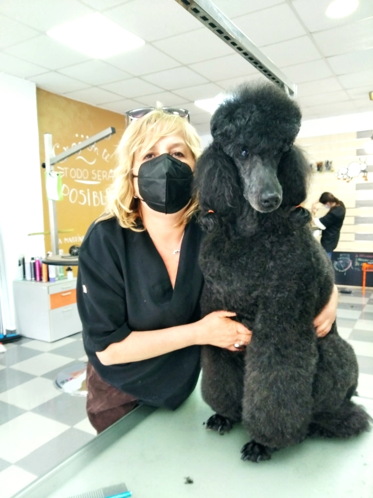 guardería canina silvita guau guau