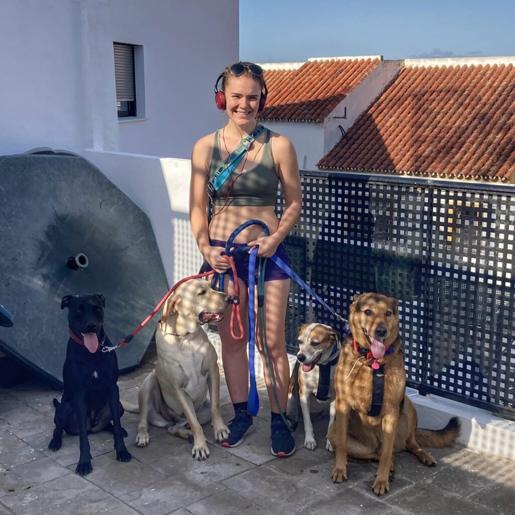 residencia canina de los reyes