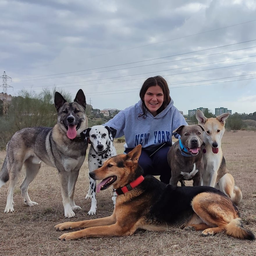 hotel de perros de los reyes malaga
