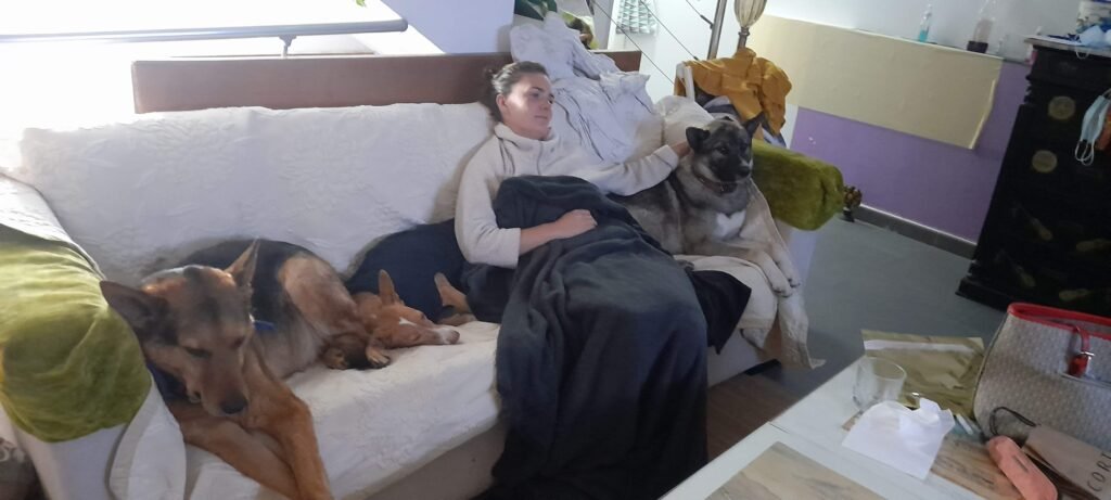 residencia canina de los reyes