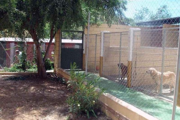 residencia canina don animal