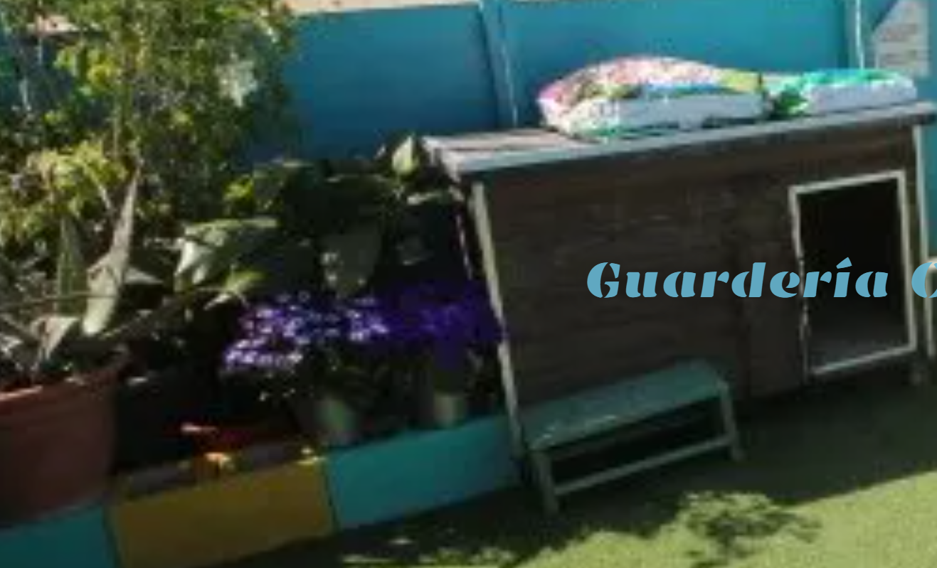 guarderia canina la huella azul