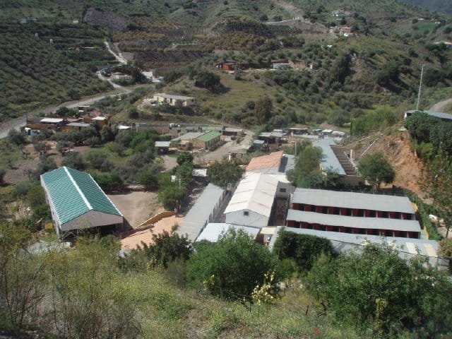 residencia canina don animal