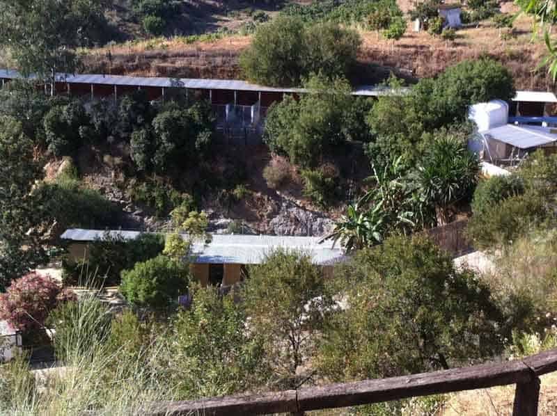 residencia canina don animal