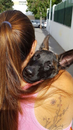 Residencia Canina Holistican