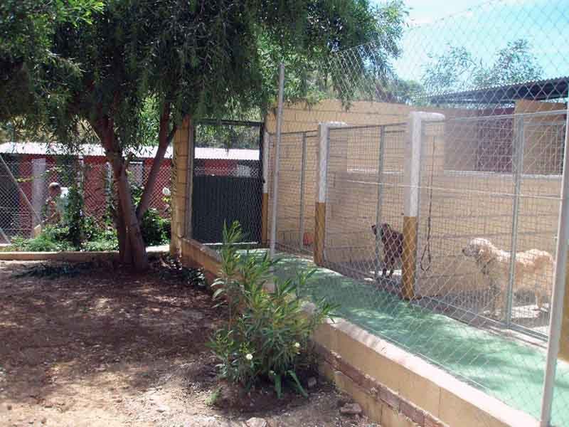 residencia canina don animal