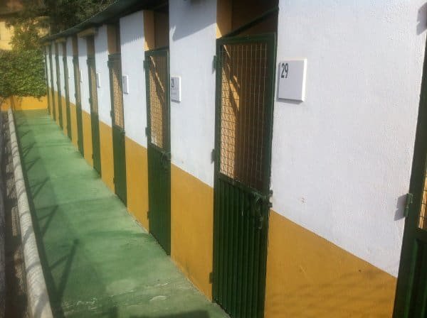 residencia canina don animal