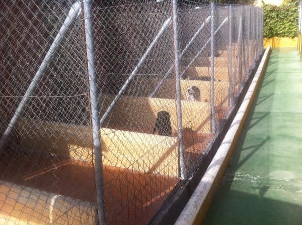 residencia canina don animal
