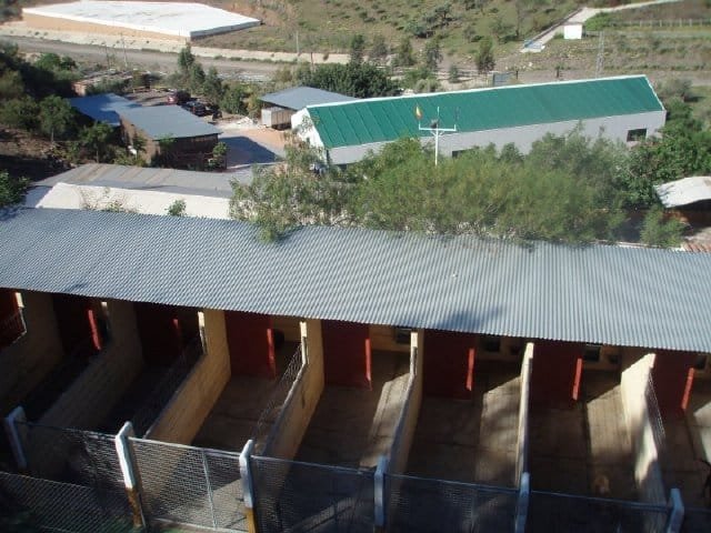 residencia canina don animal