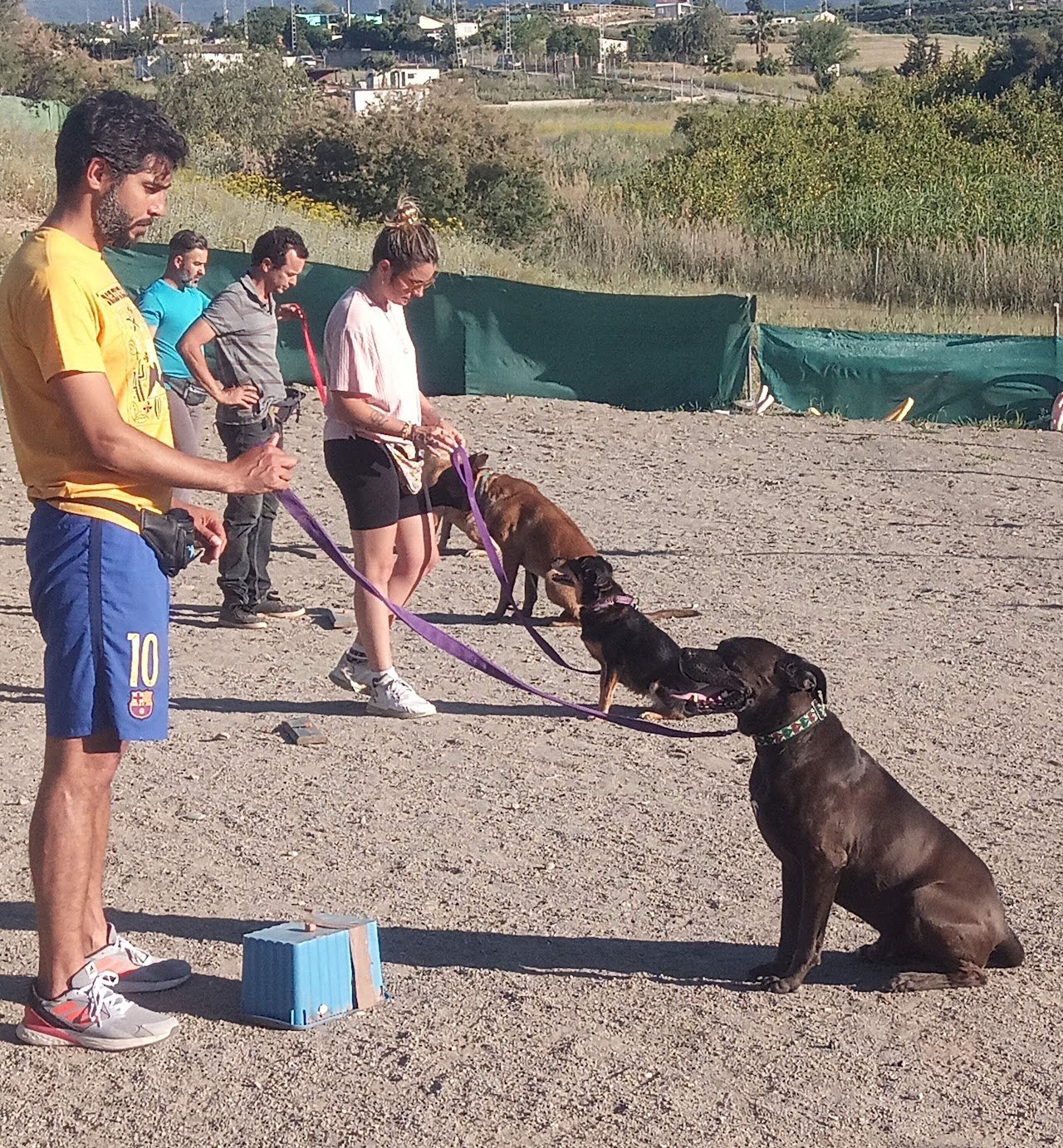 Residencia Canina Holistican