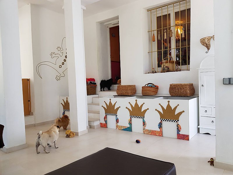residencia canina tiny dog