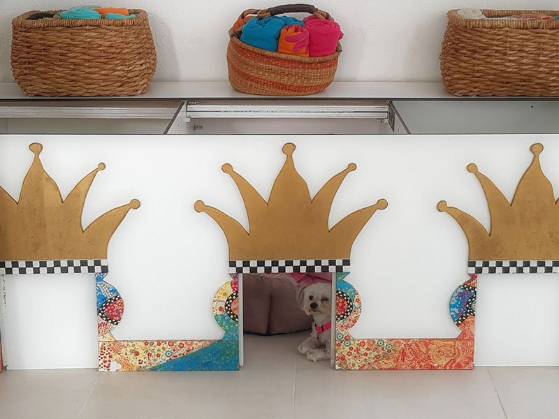 residencia canina tiny dog